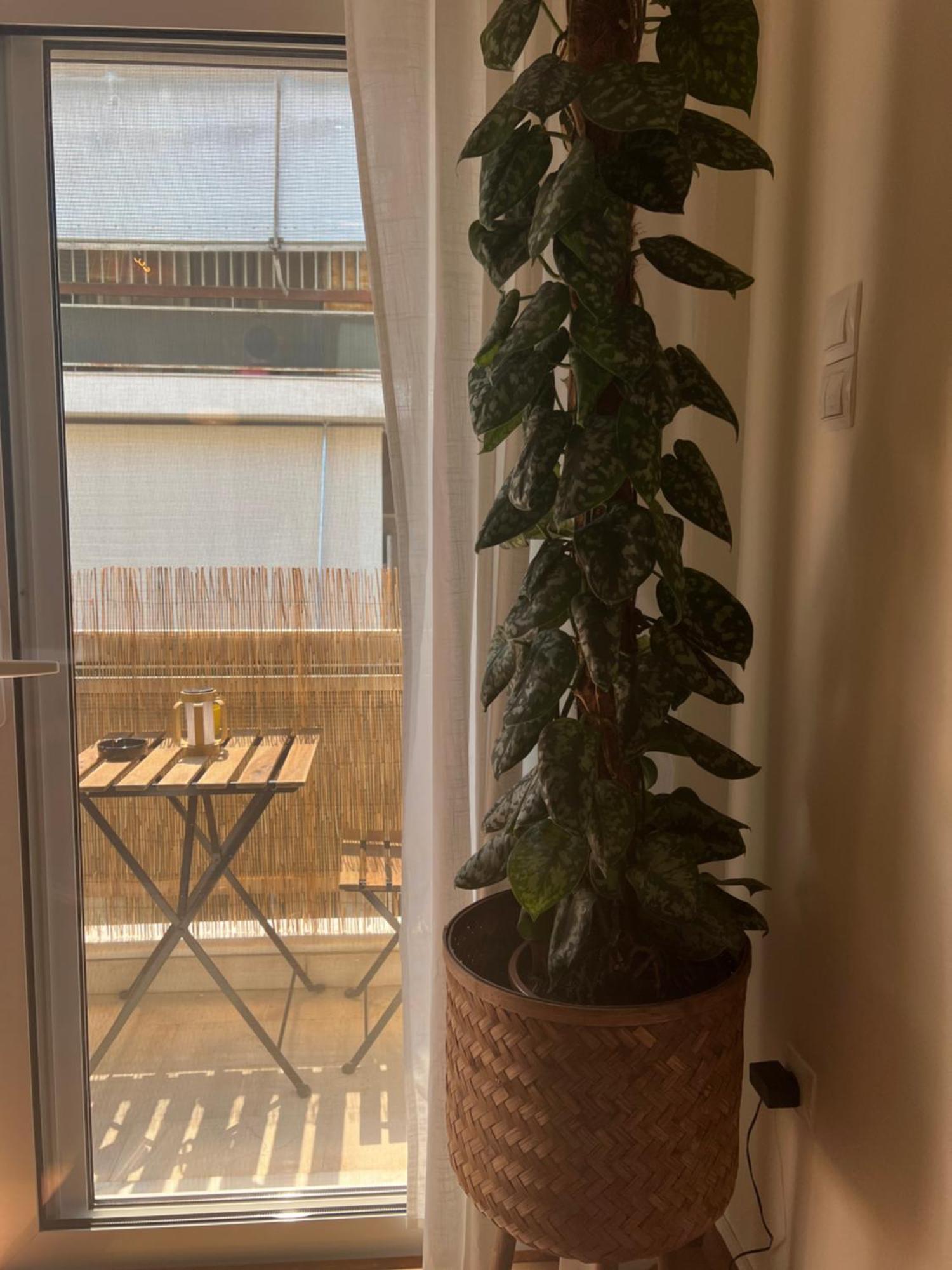 Bright Athens Studio Εξωτερικό φωτογραφία