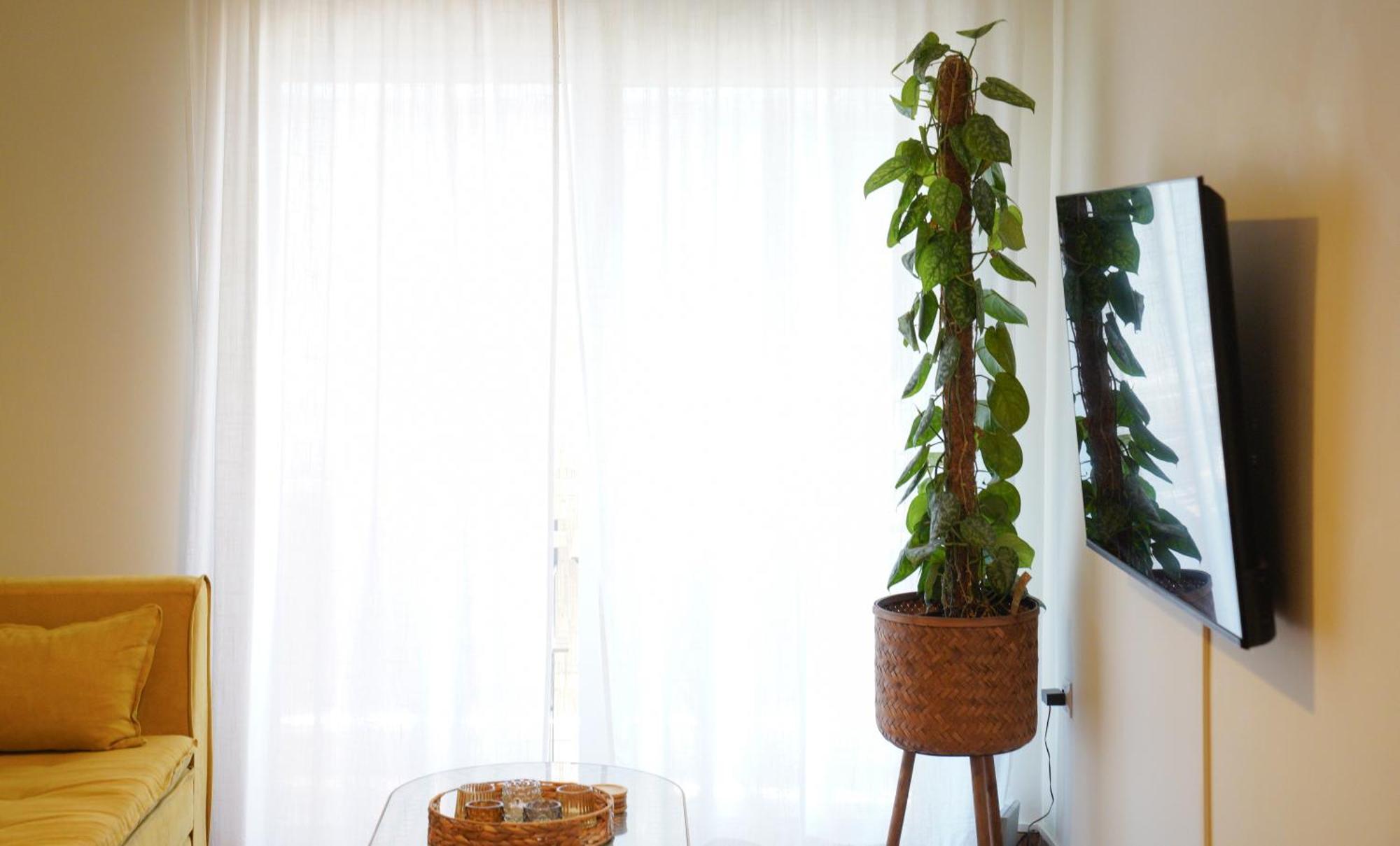 Bright Athens Studio Εξωτερικό φωτογραφία
